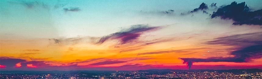 温岭茶虫网_温岭品茶